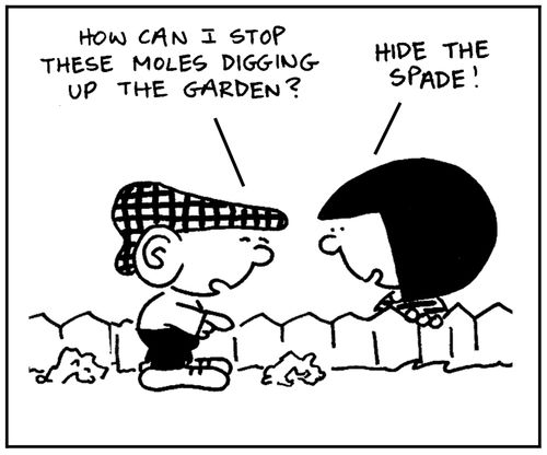 'How can I stop these moles digging up the garden?'