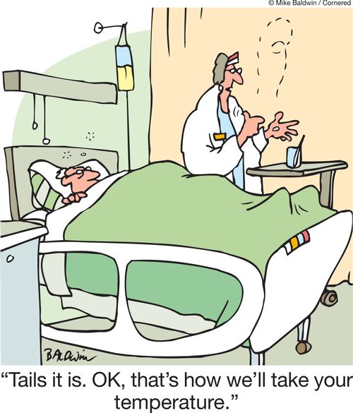 'Tails it is. OK, that's how we'll take your temperature.'