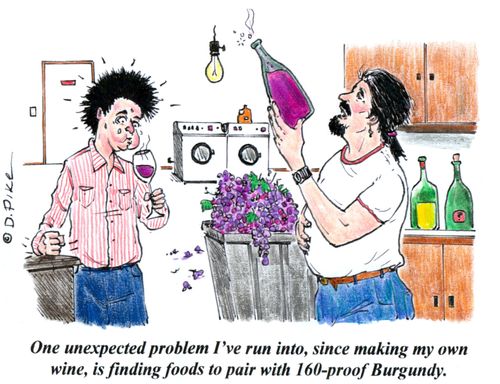 'One unexpected problem I've run into, since making my own wine, is finding foods to pair with 160-proof Burgundy.'