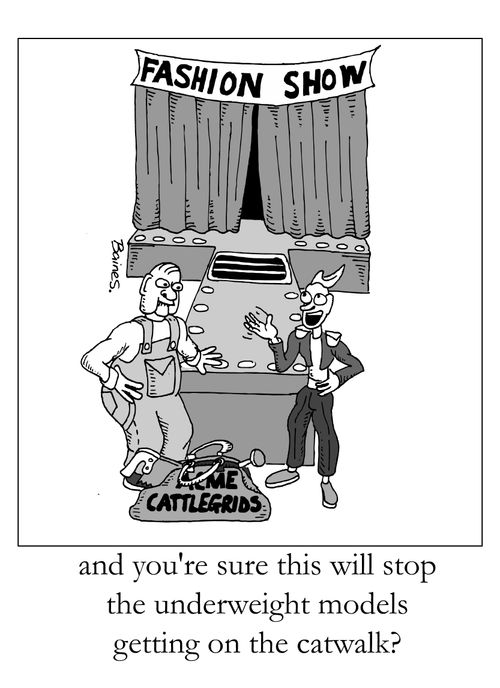 'and you're sure this will stop the underweight models getting on the catwalk?' - Cattlegrid on catwalk