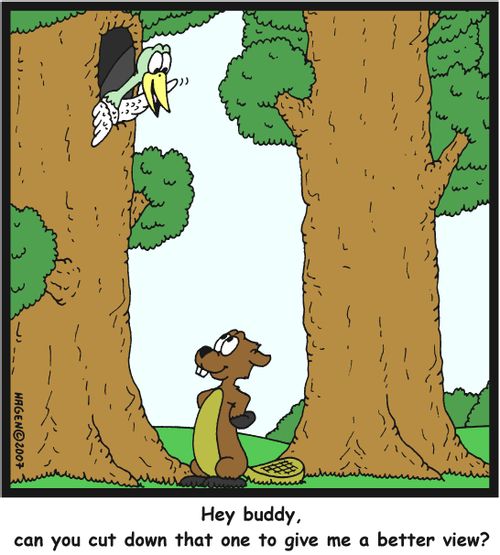 'Hey buddy, can you cut down that one to give me a better view?'