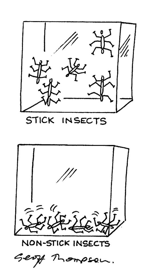 Stick insects and non-stick insects.