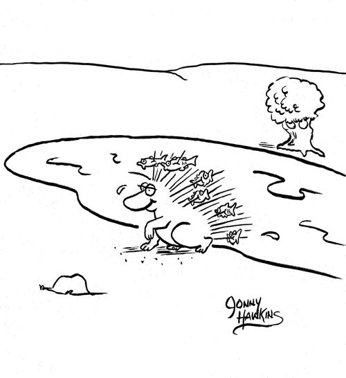 Porcupine exiting water has skewered fish.