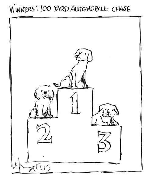 Winners: 100 yard automobile chase.