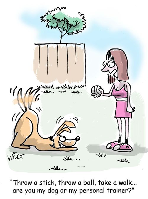 "Throw a stick, throw a ball, take a walk....are you my dog or my personal trainer?"