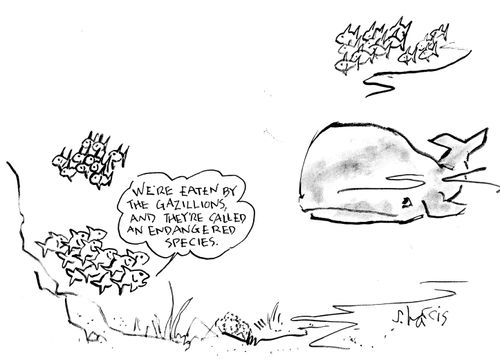 "We're eaten by the gazillions, and they're called an endangered species."