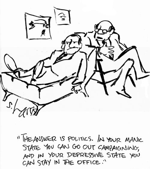 "The answer is politics. In your manic state you can go out campaigning, and in your depressive state you can stay in the office."