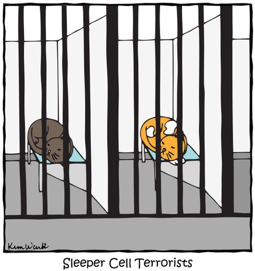 Sleeper Cell Terrorists