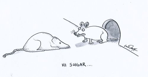 'Hi Sugar...'