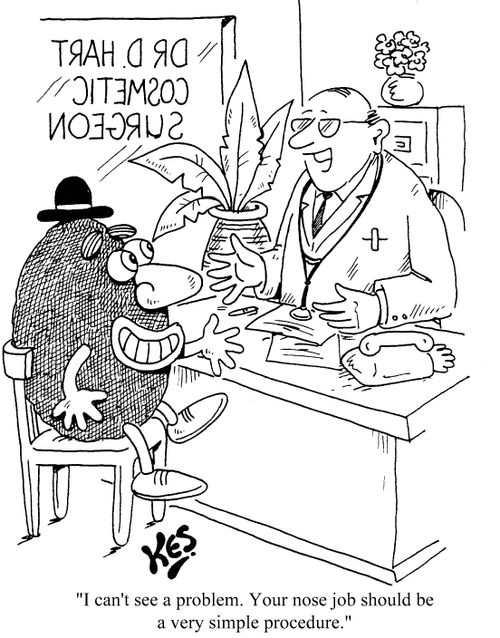 'I can't see a problem, Your nose should be a very simple procedure,'