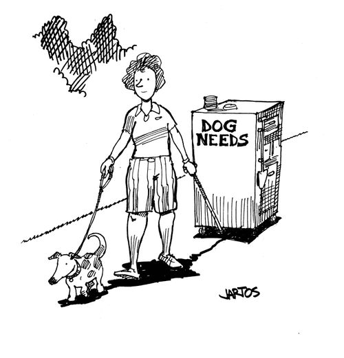 Dog needs.