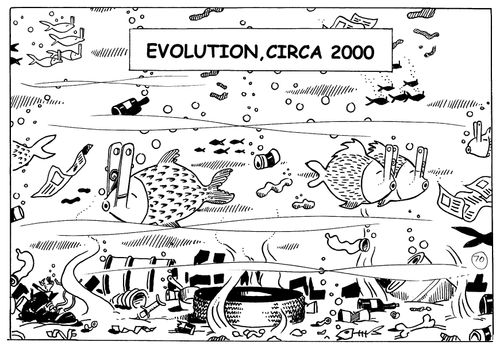 Evolution Circa 2000