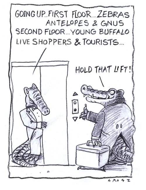 "Going up...first floor...zebras antelopes and gnus second floor...young buffalo live shoppers and tourists..."