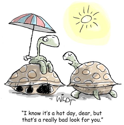 "I know it's a hot day, dear, but that's a really bad look for you."