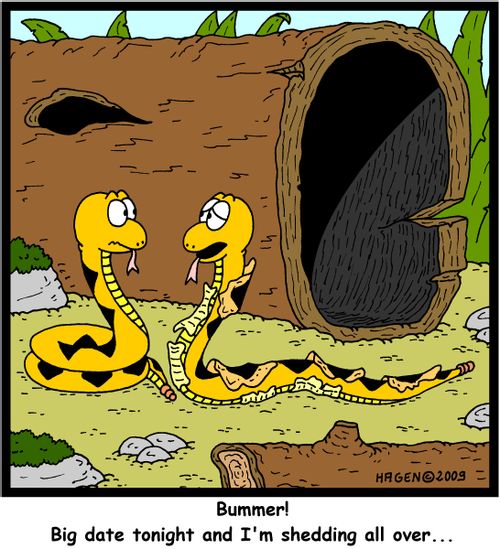 'Bummer! Big date tonight and I'm shedding all over...'