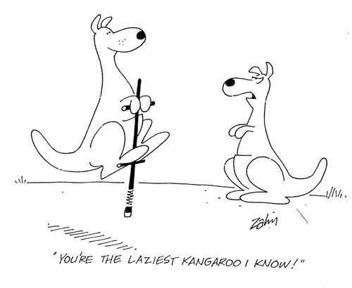 'You're the laziest kangaroo I know!'