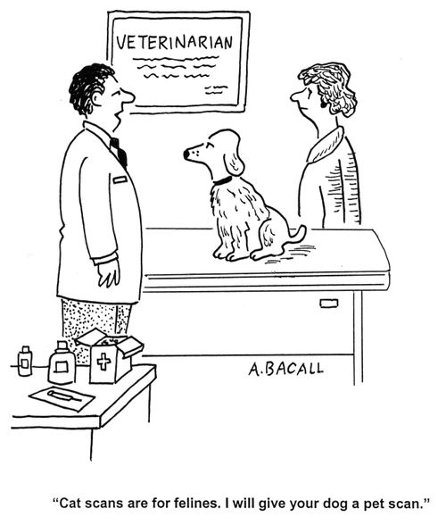'Cat scans are for felines.  I will give your dog a pet scan.'
