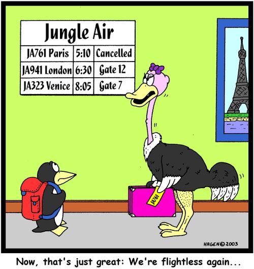 'Now, that's just great: We're flightless again...'