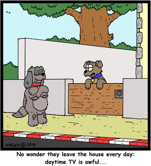 "No wonder they leave the house every day: daytime TV is awful..."