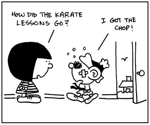 'How did the karate leasons go?'