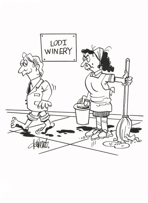 As a cleaning woman mops the floor a man with no shoes on and wine grapes on his feet walks by.