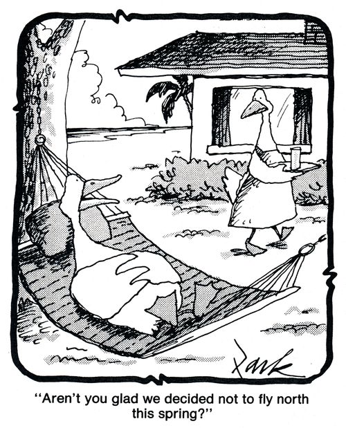 'Aren't you glad we decided not to fly north thing spring?'