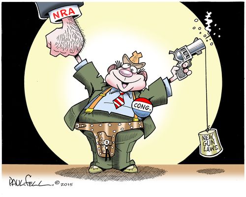 New Gun Laws