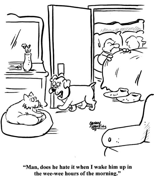 Dog to cat about sleepy owner: 'Man, does he hate it when I wake him up in the wee-wee hours of the morning.'