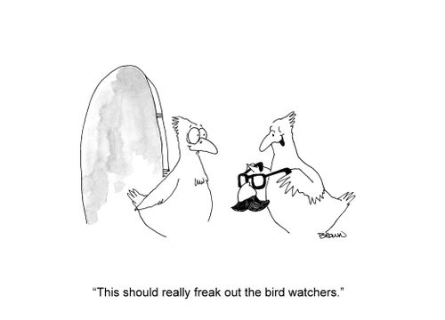 'This should really freak out the bird watchers.'