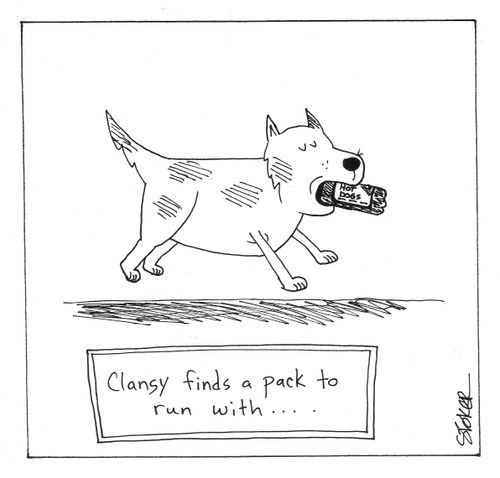 'Clancy finds a pack to run with...'