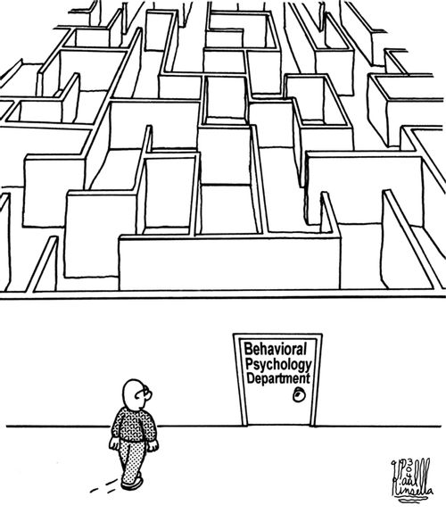 Behavioral Psychology Department