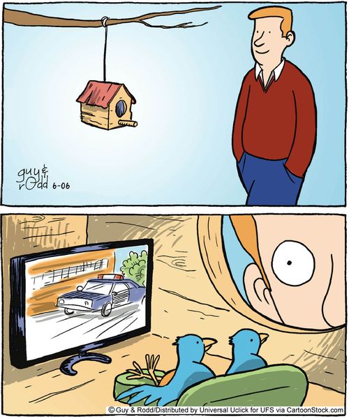 Birds in a birdhouse watching TV.
