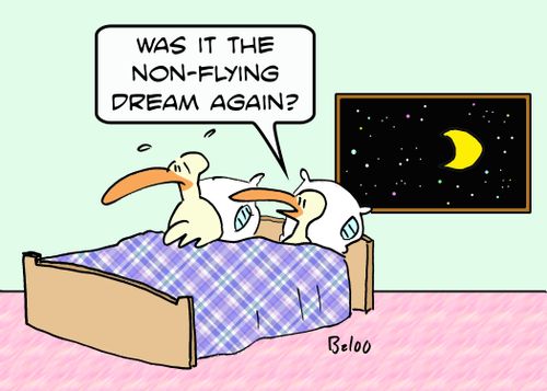 'Was it the non-flying dream again?'