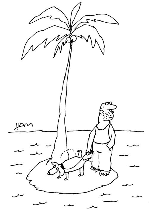 Desert island dog