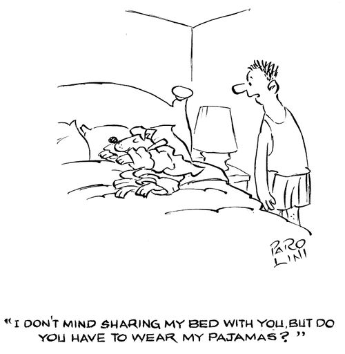 'I don't mind sharing my bed with you, but do you have to wear my pajamas?'