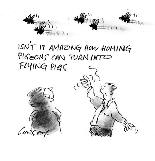 'Isn't it amazing how homing pigeons can turn into flying pigs?'