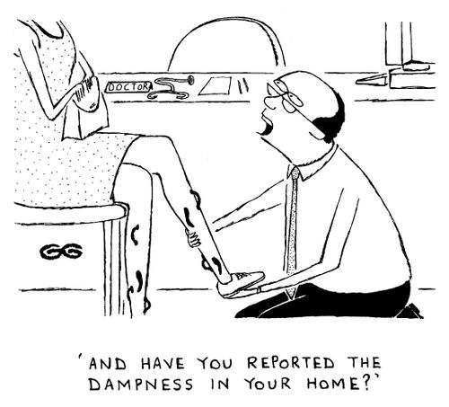 'And have you reported the dampness in your home?'