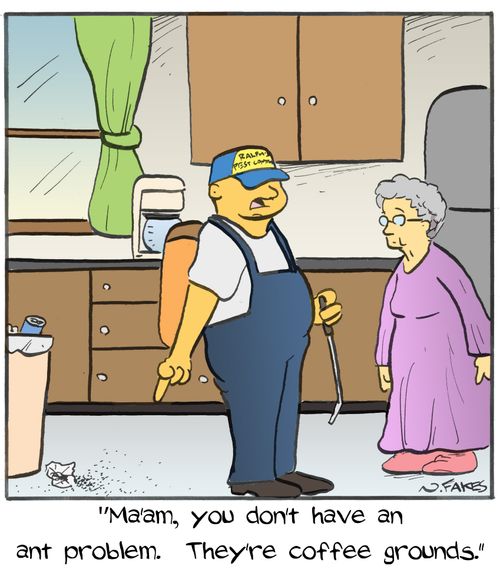 "Ma'am, you don't have an ant problem. They're coffee grounds."