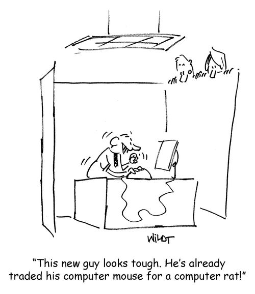 Tough employee uses computer rat instead of mouse.