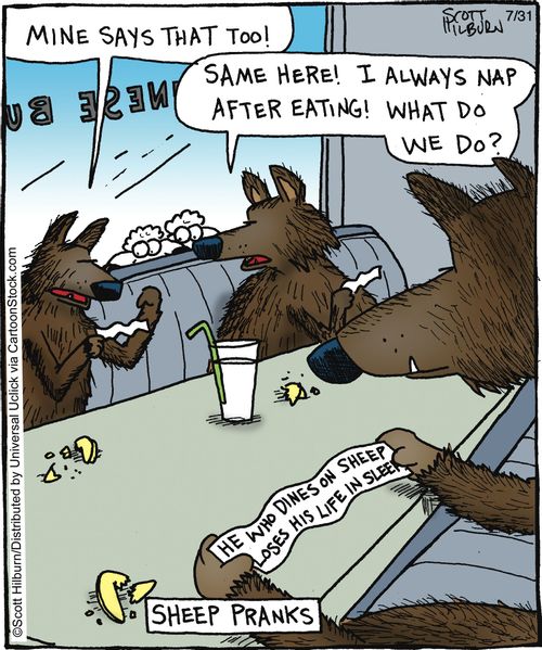 Sheep Pranks.