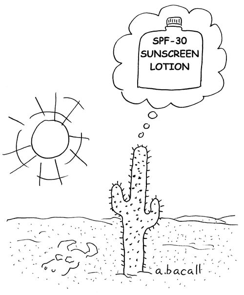 SPF-30 Sunscreen Lotion