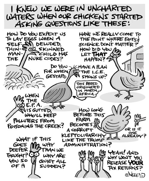 I knew we were in uncharted waters when our chickens started asking questions like these:
