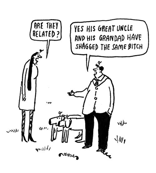 'Are they related?'