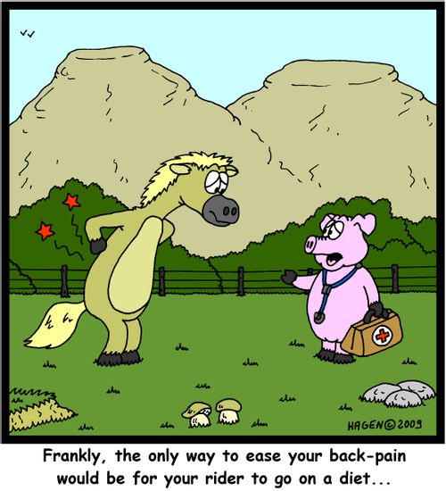 'Frankly, the only way to ease your back-pain would be for your rider to go on a diet...'