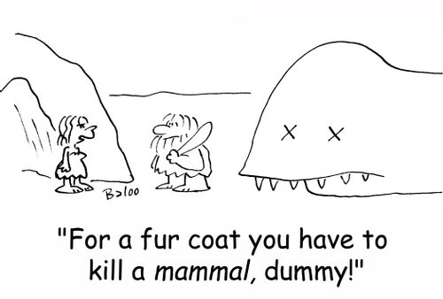 'For a fur coat you have to kill a mammal, dummy!'