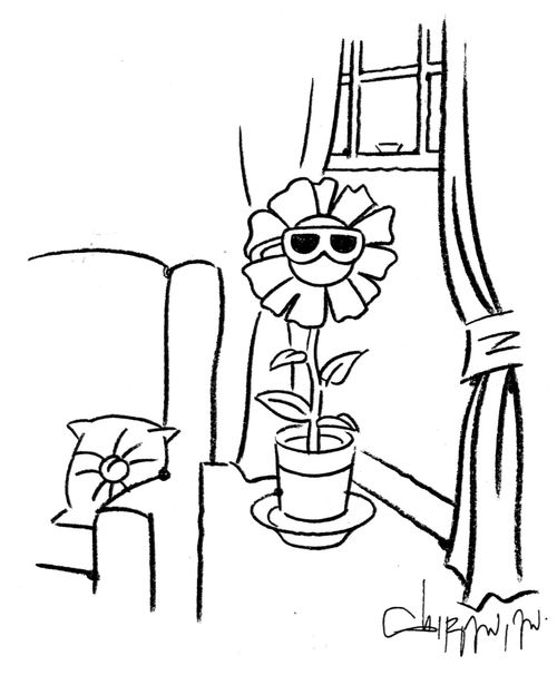 'Sunflower wearing sunglasses.'