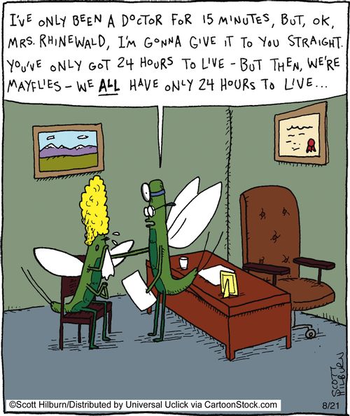 I've only been a doctor for 15 minutes, but, ok, Mrs. Rhinewald, I'm gonna give it to you straight. You've only got 24 hours to live - but then, we're mayflies - we all have only 24 hours to live...
