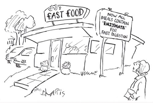 Now all meals contain 'Enzymate' for fast digestion.'