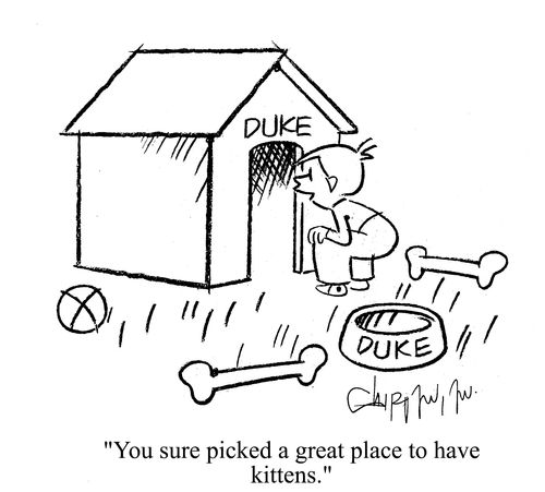 'You sure picked a great place to have kittens.'
