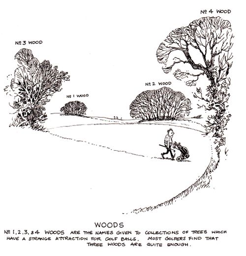 Woods - Woods are the names given to collections of trees which have a strange attraction for golf balls...